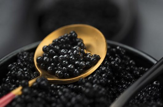 black-caviar-golden-spoon-2-min